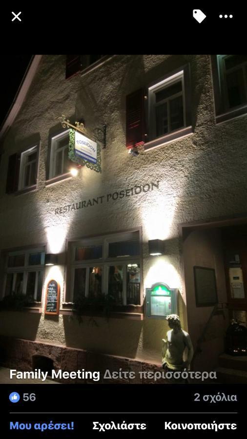 Poseidon Hotel Hirschhorn Dış mekan fotoğraf